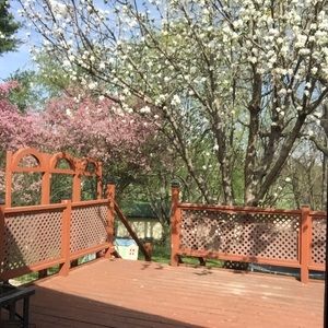 Meet your Posher, Jillian